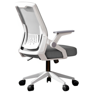 Ghế công thái học CTH103-G