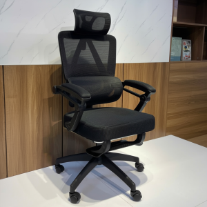 Ghế công thái học CTH899-D