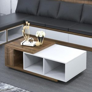 Bàn trà gỗ hiện đại – BT48N