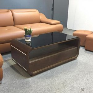 Bàn trà, bàn sofa gỗ tần bì BT11